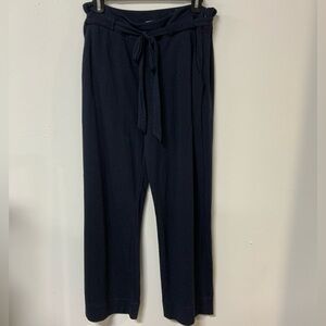CAbi navy pants